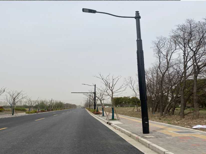 海丰县上海综合杆 太阳能路灯工程